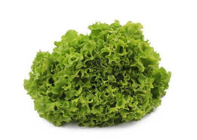 Салат романо 1 кг - купить в Долженовке